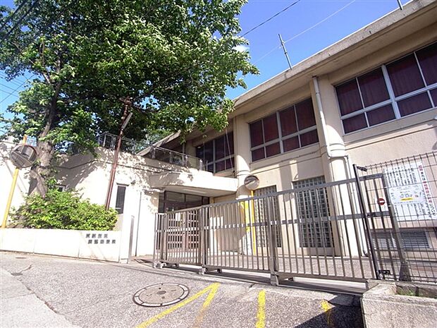 横浜市立菊名小学校（約593m）