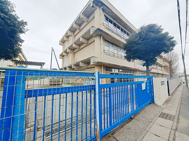 松戸市立矢切小学校（約748m）