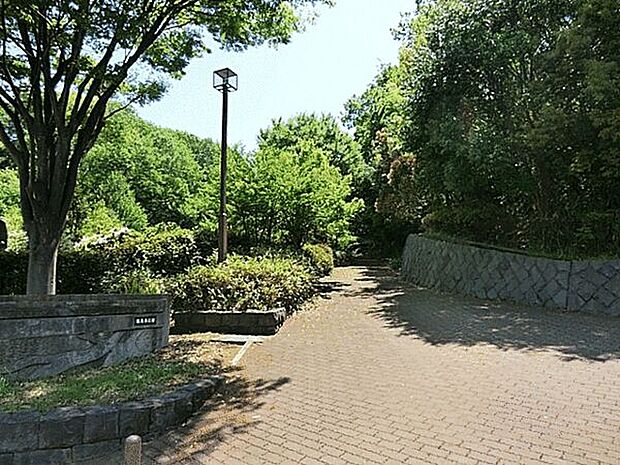 飯島南公園（約1,169m）