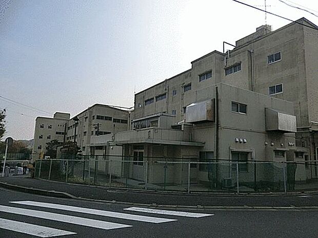 横浜市立飯島小学校（約491m）