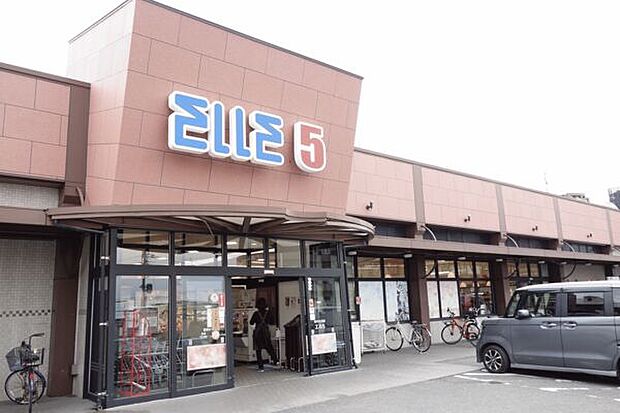エル５ エルゴ白木原店（約751m）