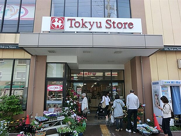 東急ストア上池台店（約510m）