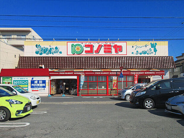 コノミヤ中根店（約794m）