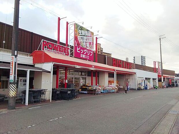 ビッグリブ 安城店（約1,155m）