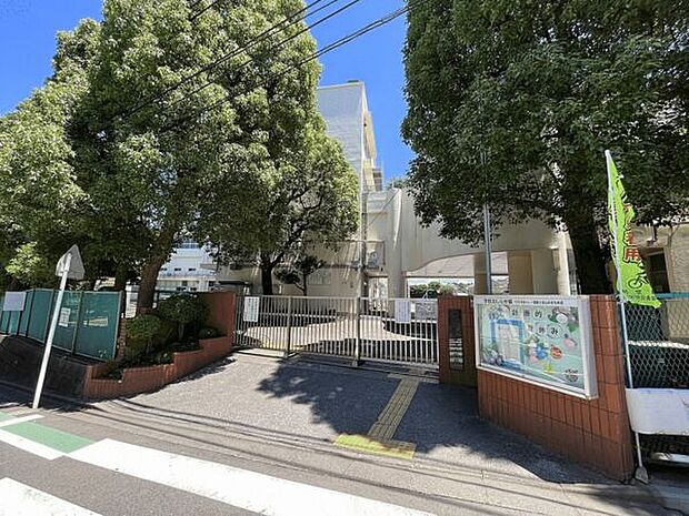 横浜市立中沢小学校（約876m）
