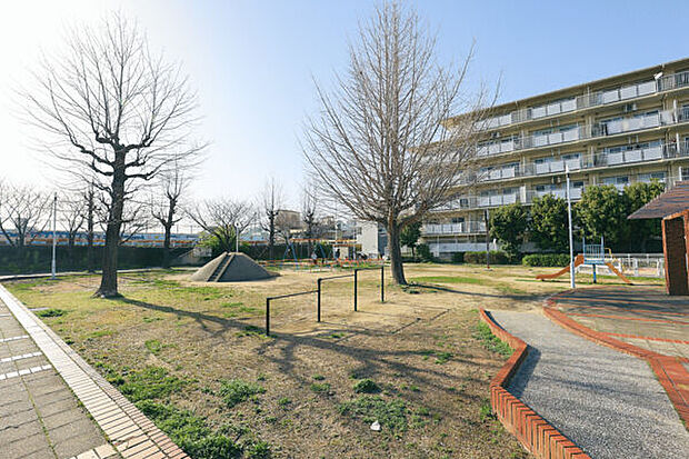 伝法西公園(約988m)