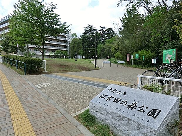 江古田の森公園(約387m)