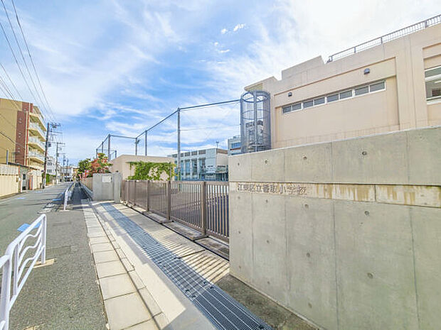 江東区立香取小学校(約209m)