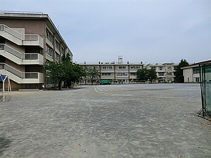 川崎市立玉川小学校 233m