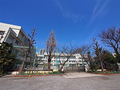 江東区立八名川小学校 225m