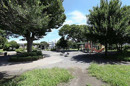 柏木公園 154m
