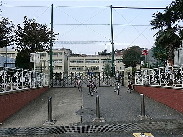 横浜市立峯小学校（約252m）