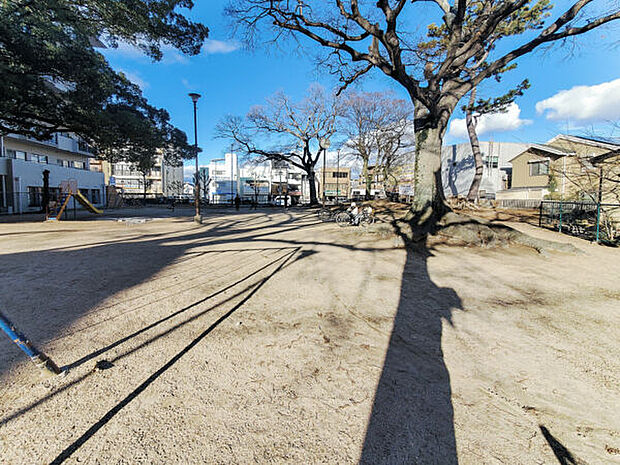 新靭公園（約305m）