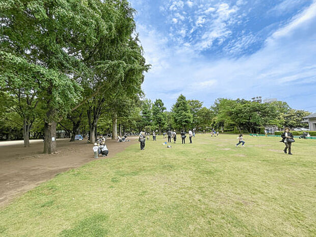 井草森公園（約619m）