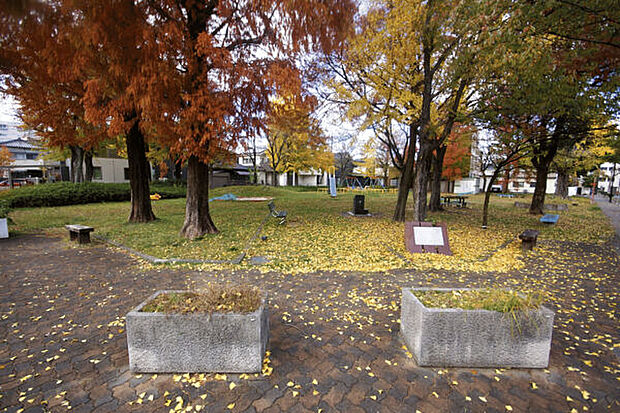 白鳥公園(旗屋町公園)(約118m)