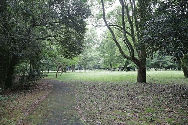 生の松原海岸森林公園広場（約647m）