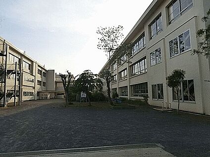 茅ヶ崎市立浜須賀小学校 917m