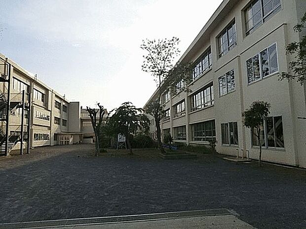 茅ヶ崎市立浜須賀小学校(約917m)