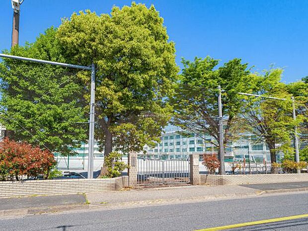 江戸川区立松江第四中学校（約1,186m）