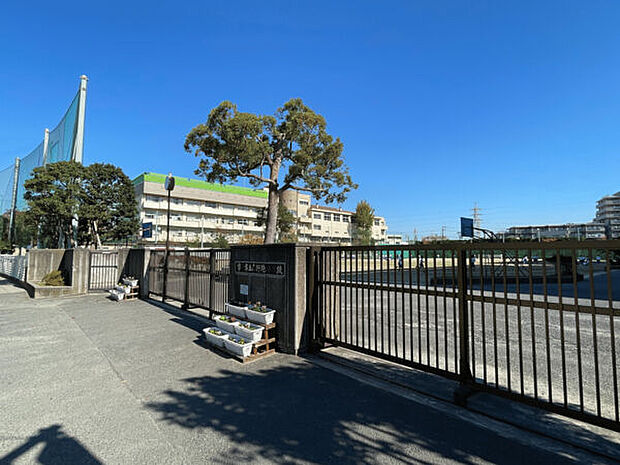 市川市立南行徳中学校（約1,339m）