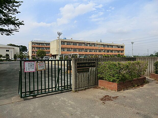 さいたま市立桜山中学校(約803m)