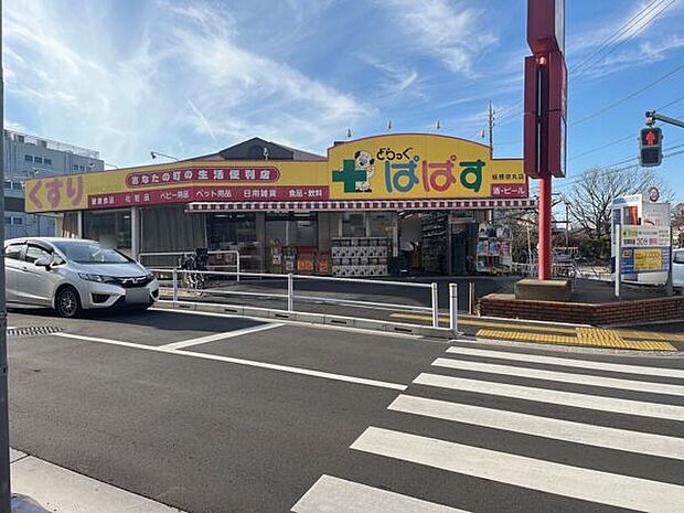 どらっぐぱぱす板橋徳丸店(約621m)