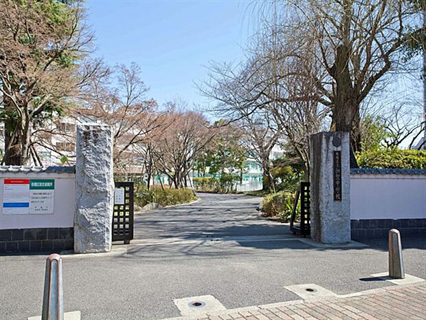 足立区立加賀中学校(約593m)