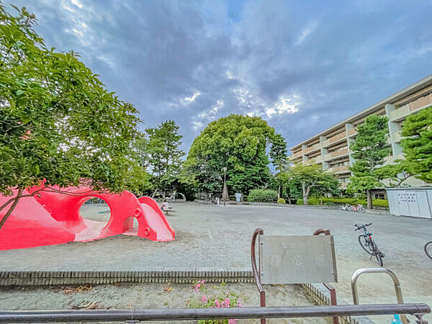 藤沢市立橘公園(約646m)