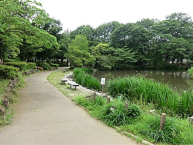 じゅん菜池公園(約426m)