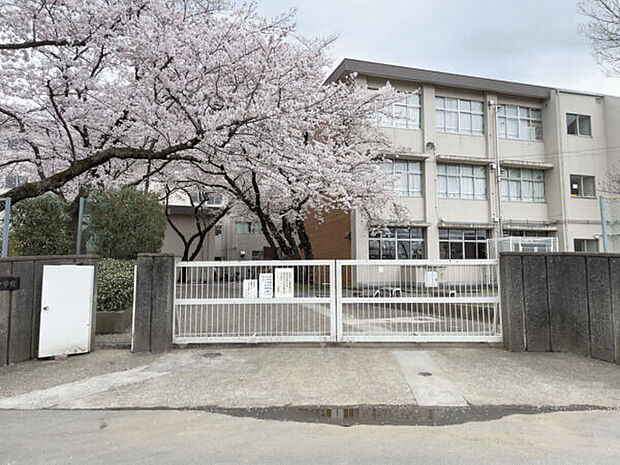 国立市立国立第三中学校(約784m)