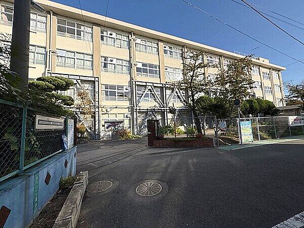 福岡市立西長住小学校（約589m）