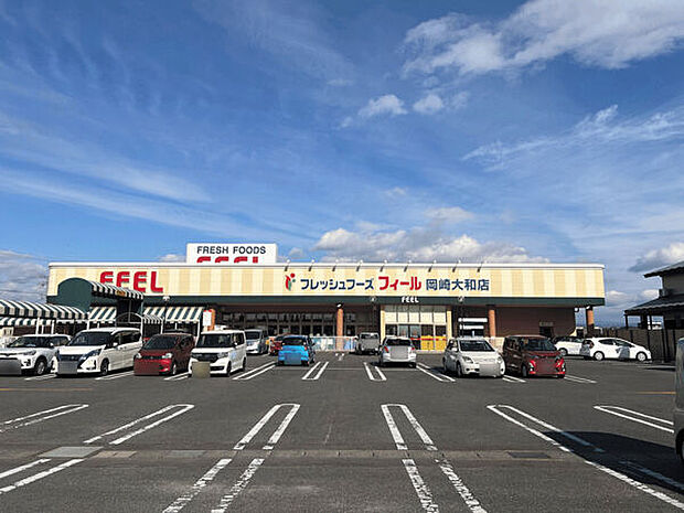 フィール岡崎大和店（約609m）