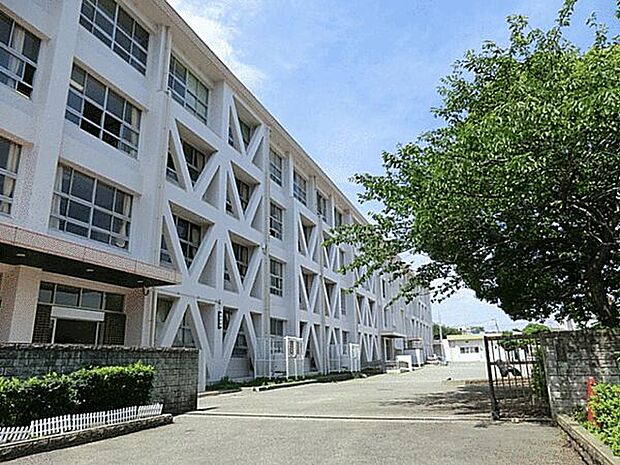 藤沢市立村岡小学校(約80m)