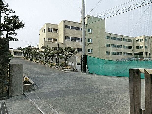 茅ヶ崎市立西浜小学校（約582m）
