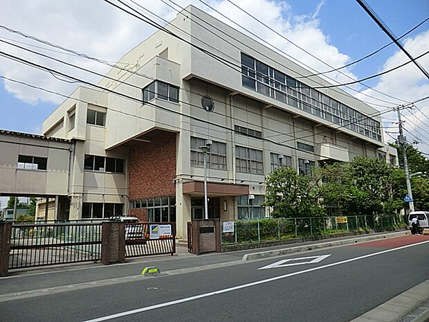 川口市立飯塚小学校(約547m)