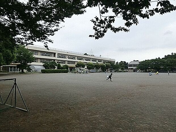 柏市立藤心小学校（約1,461m）