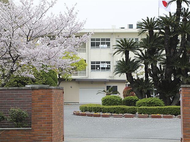 福岡市立箱崎中学校(約803m)