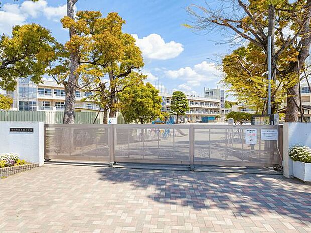 市川市立真間小学校(約671m)