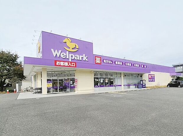 ウェルパーク国分寺西町店(約926m)