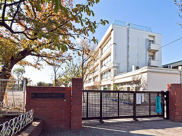 練馬区立大泉学園緑小学校(約448m)