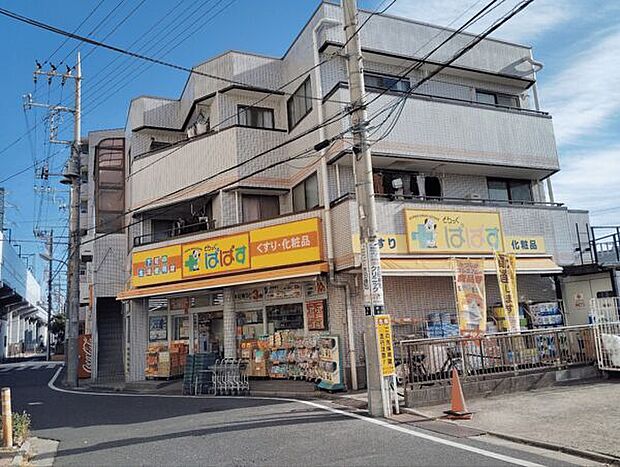 どらっぐ ぱぱす 新柴又店(約1,395m)