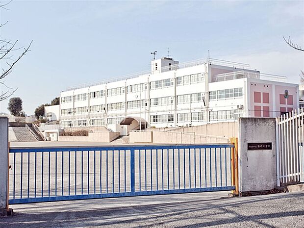 川崎市立新作小学校(約453m)