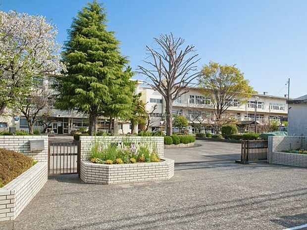 相模原市立谷口台小学校(約1,021m)