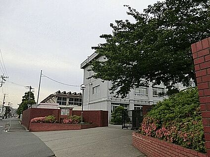 藤沢市立村岡中学校 1605m