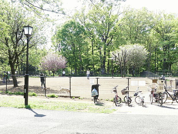 蘆花公園(約916m)