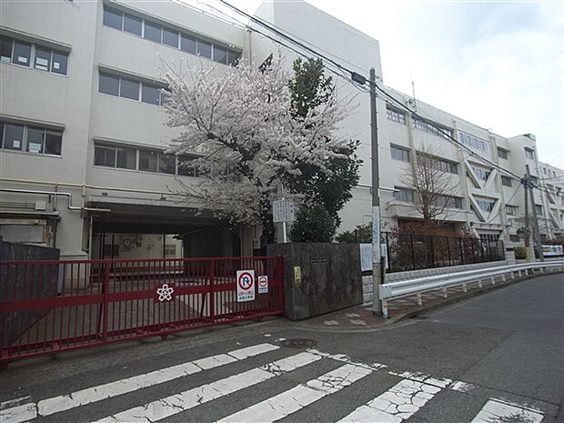 横浜市立太田小学校(約750m)