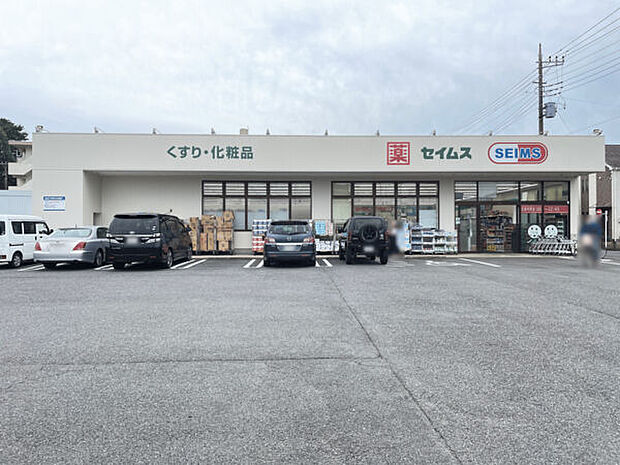 ドラッグセイムス 下保谷店（約1,036m）