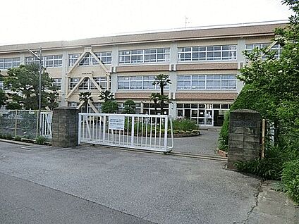 柏市立柏第七小学校 1448m