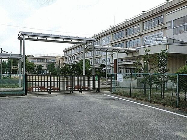 柏市立柏第三中学校(約1,228m)