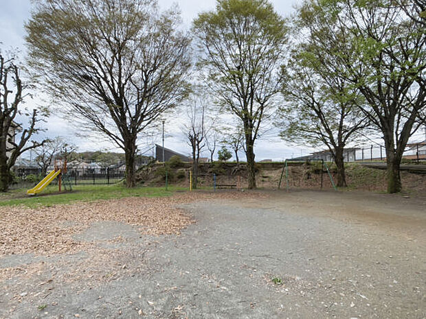 浄水公園(約1,000m)